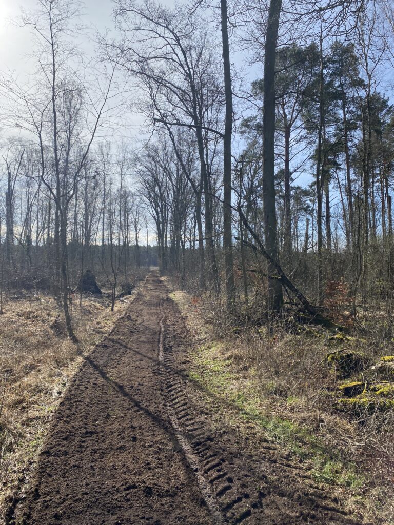 Rückegasse angelegt